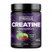 Креатин PureGold Creatine Monohydrate 300 г