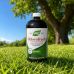 Хлорофилл жидкий Chlorofresh Natures Way 132 мг 480 мл без вкуса